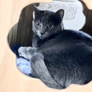 Picture of Nadia