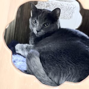 Picture of Nadia