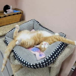 Picture of Quinn