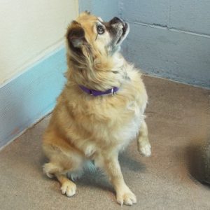 Picture of Katie
