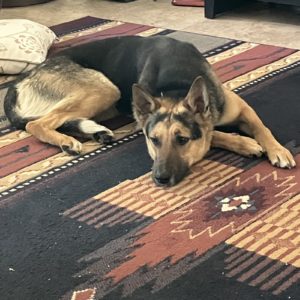 Picture of Skye