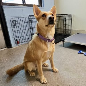 Picture of Tilly