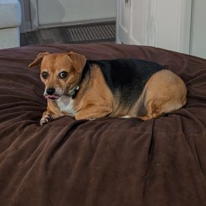 Picture of Baby Ruth