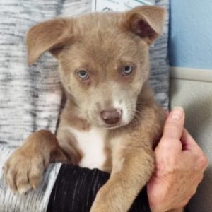 Picture of Carter