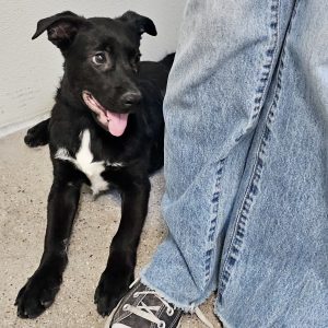 Picture of Gunther