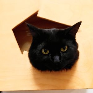 Picture of Loaf