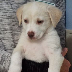 Picture of Madison