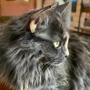 Picture of Sabrina