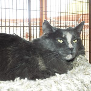 Picture of Sabrina