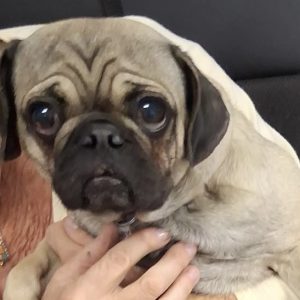Picture of Baby Cake
