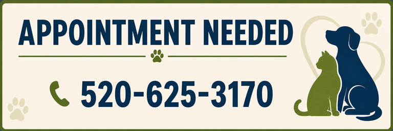Appointment Needed