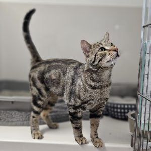 Picture of Fred