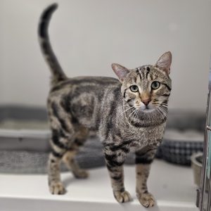 Picture of Fred