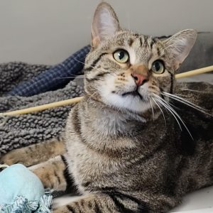 Picture of Fred