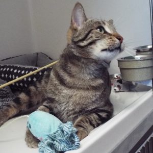 Picture of Fred