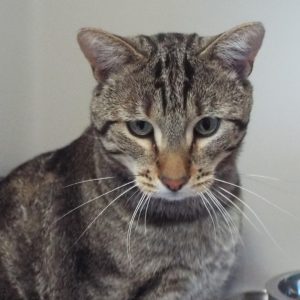 Picture of Fred