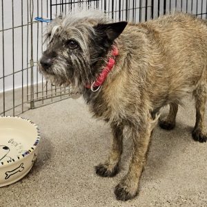 Picture of Humphrey
