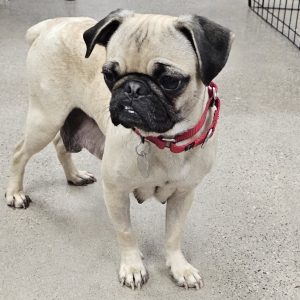Picture of Lucy