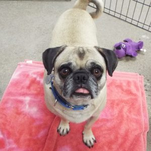 Picture of Remington