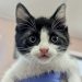 Stormy