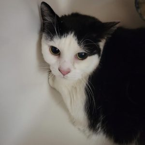 Picture of Isabella