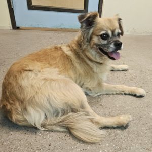 Picture of Katie
