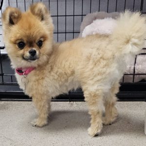 Picture of Mimi