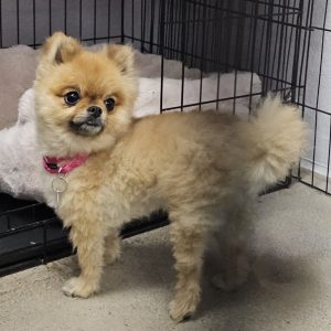 Picture of Mimi