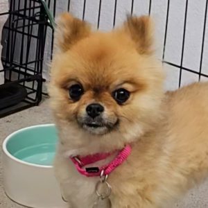Picture of Mimi