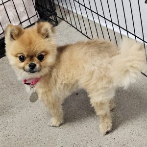 Picture of Mimi