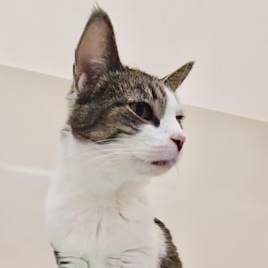 Picture of Sammie Jones