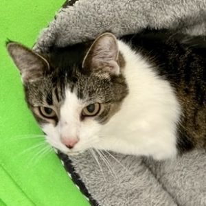 Picture of Sammie Jones