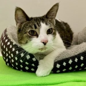 Picture of Sammie Jones