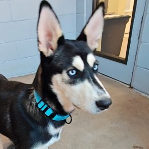 Picture of Sophie