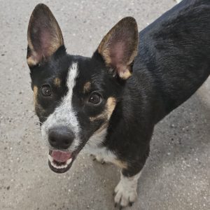 Picture of Zoey