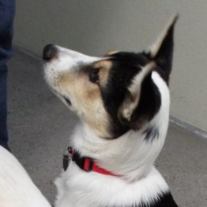 Picture of Jack