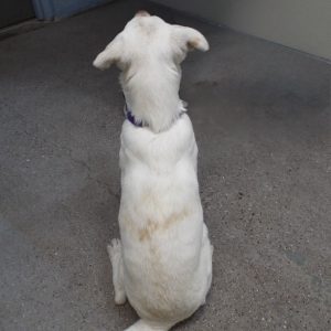 Picture of Manny