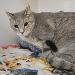 Picture of Max
