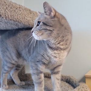 Picture of Max