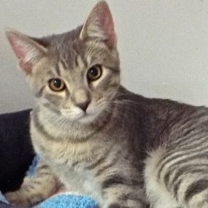 Picture of Max