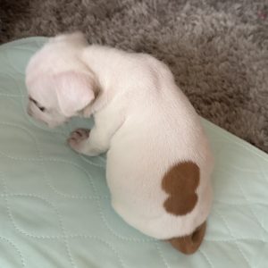 Picture of Naomi