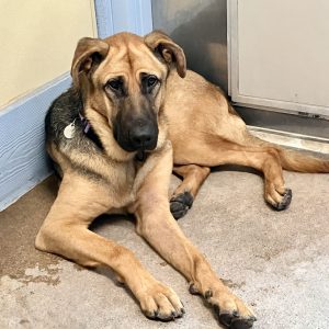 Skye