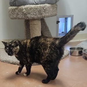 Picture of Delilah