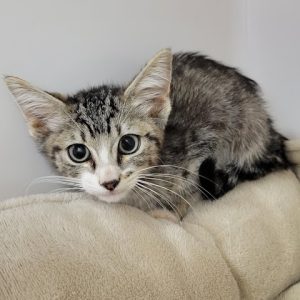 Picture of Matilda