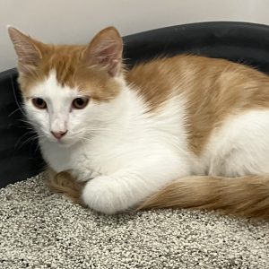 Picture of Ron