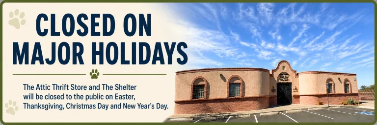 The Animal League of Green Valley shelter building under a blue sky.