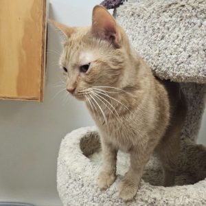 Picture of Arlo
