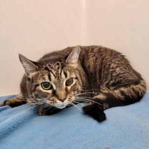 Picture of Hope