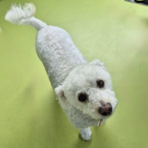 Picture of Ricky